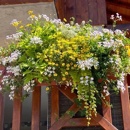 La Aux Fleurs Chalet *